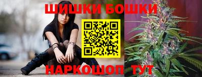 спайс Славгород